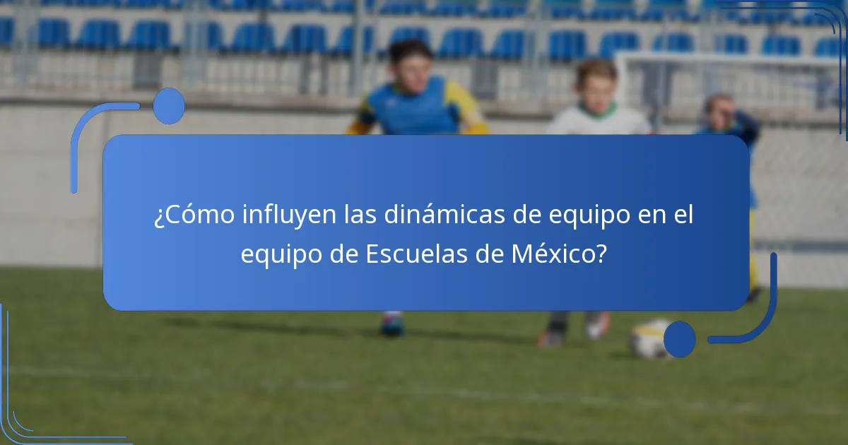 ¿Cómo influyen las dinámicas de equipo en el equipo de Escuelas de México?