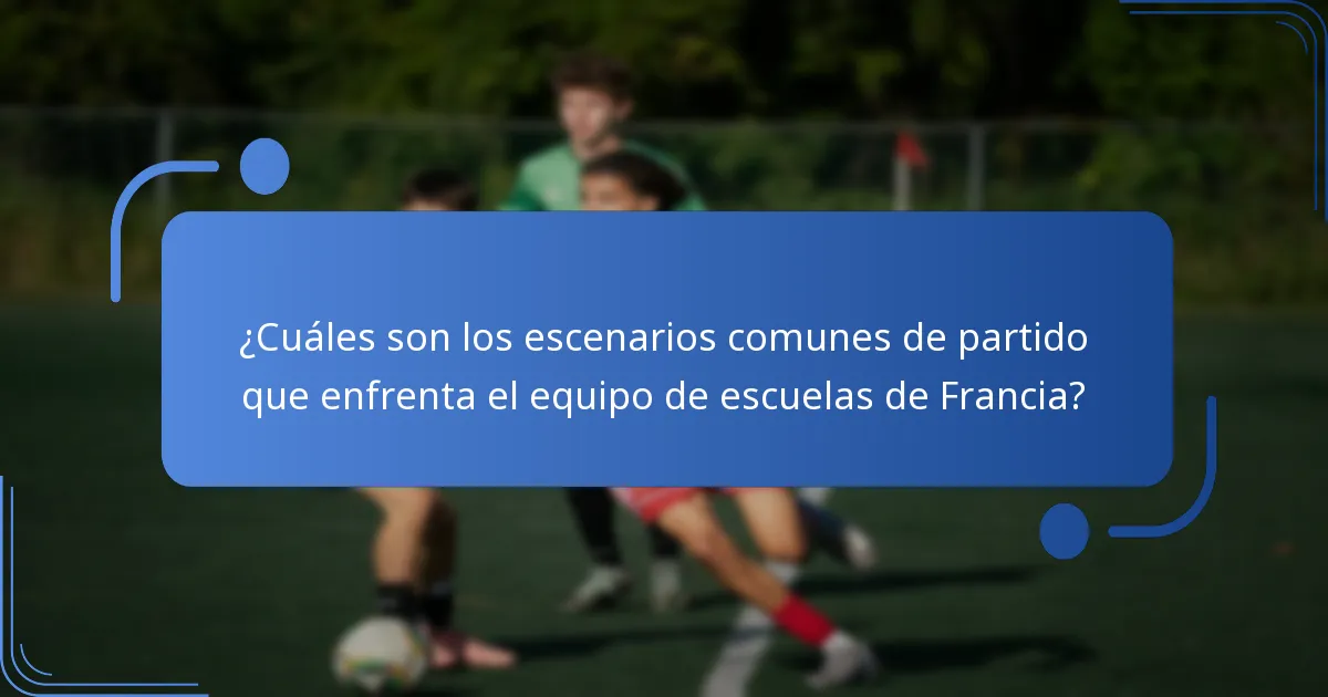 ¿Cuáles son las formaciones tácticas utilizadas por el equipo de escuelas de Francia?