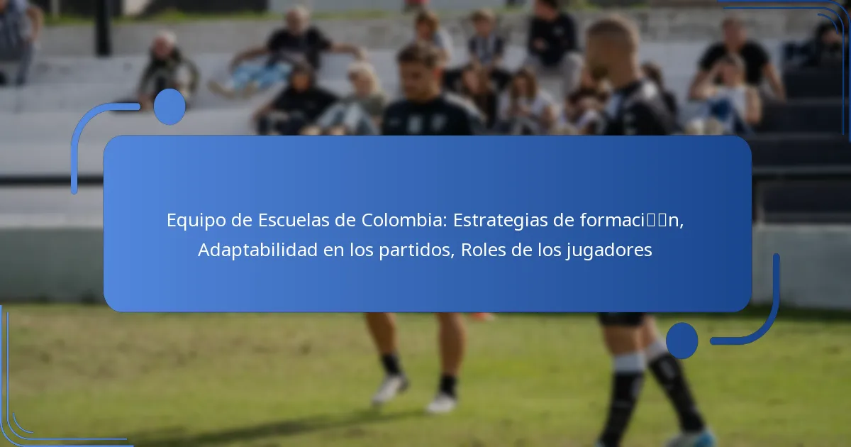 Equipo de Escuelas de Colombia: Estrategias de formación, Adaptabilidad en los partidos, Roles de los jugadores