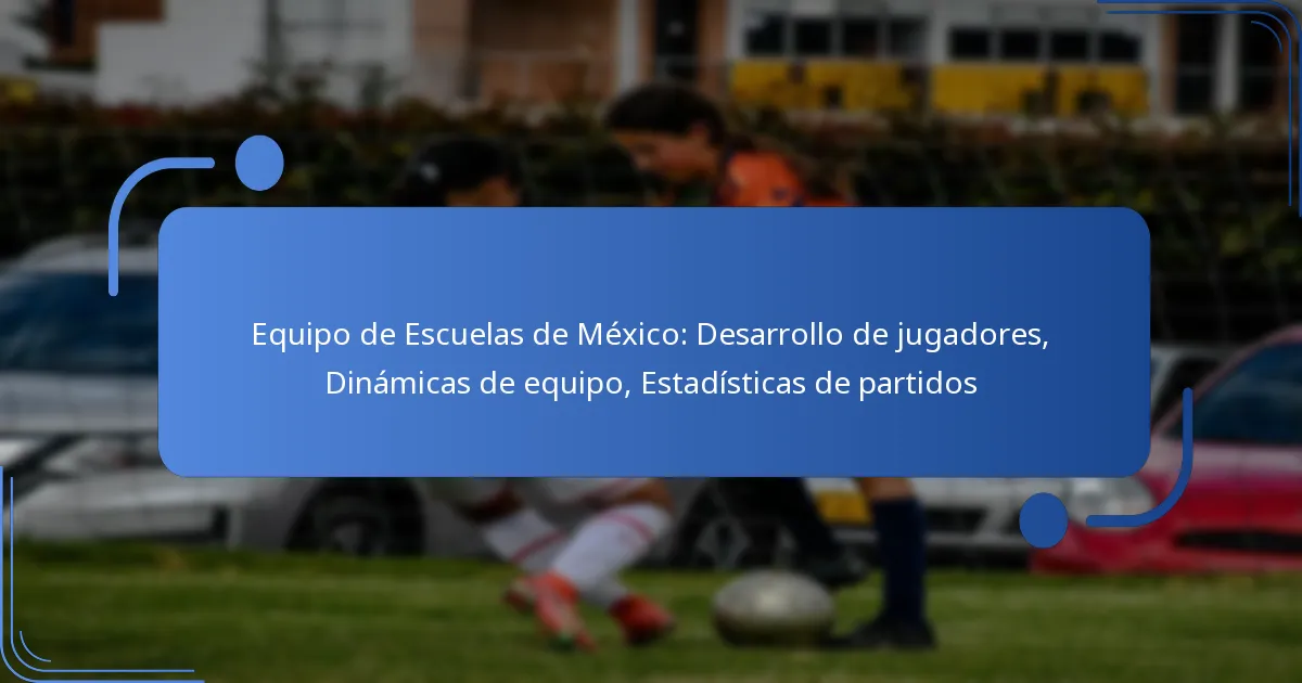 Equipo de Escuelas de México: Desarrollo de jugadores, Dinámicas de equipo, Estadísticas de partidos